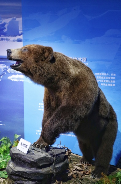 虎扑体育-关于川蜀暴熊队对阵川蜀雪豹队,自行车巡回赛守住胜果,细节决定成败——黑马成最大惊喜的信息